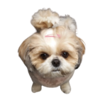 Iva s Amalkou – Stavební práce